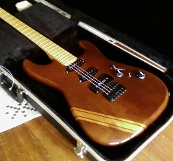 shamray custom guitar